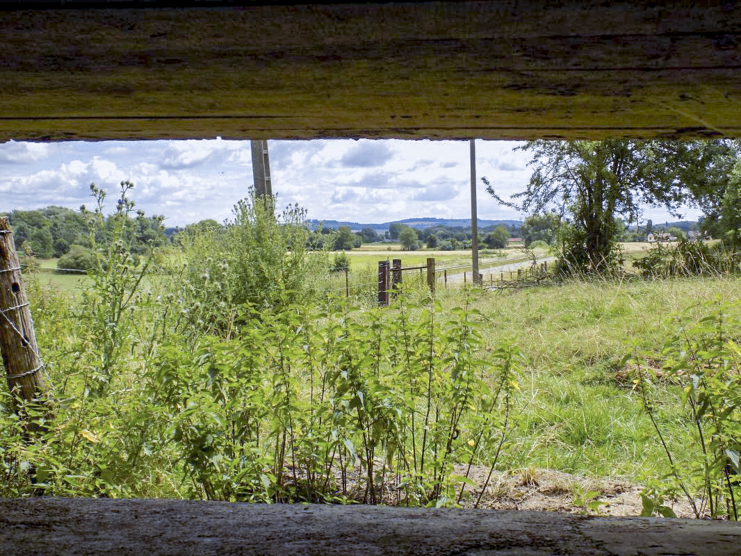 Ligne Maginot - 107 - LONGUES ORGIERES - (Blockhaus lourd type STG / STG-FCR - Double) - Vue du créneau AC, face droite vers le sud-est