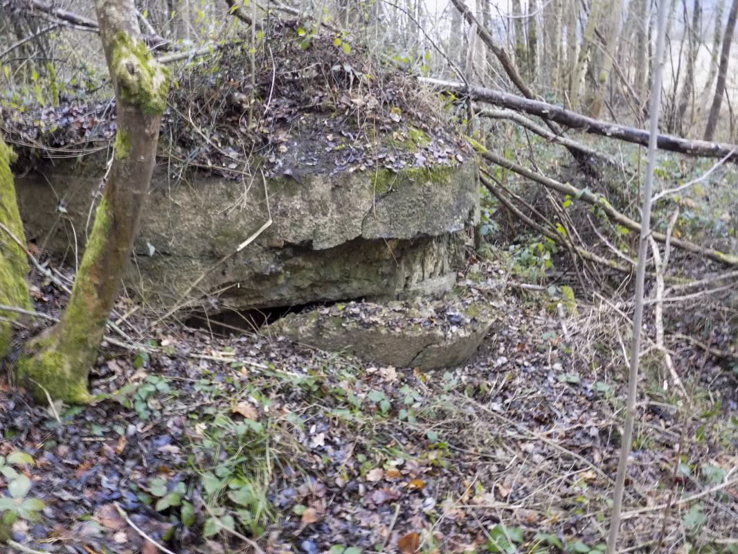 Ligne Maginot - 48BIS - BUTTE DE FRENOIS EST - (Blockhaus pour canon) - Créneau FM à l'angle faces frontale et gauche. 
Noter le béton tombé devant le créneau.