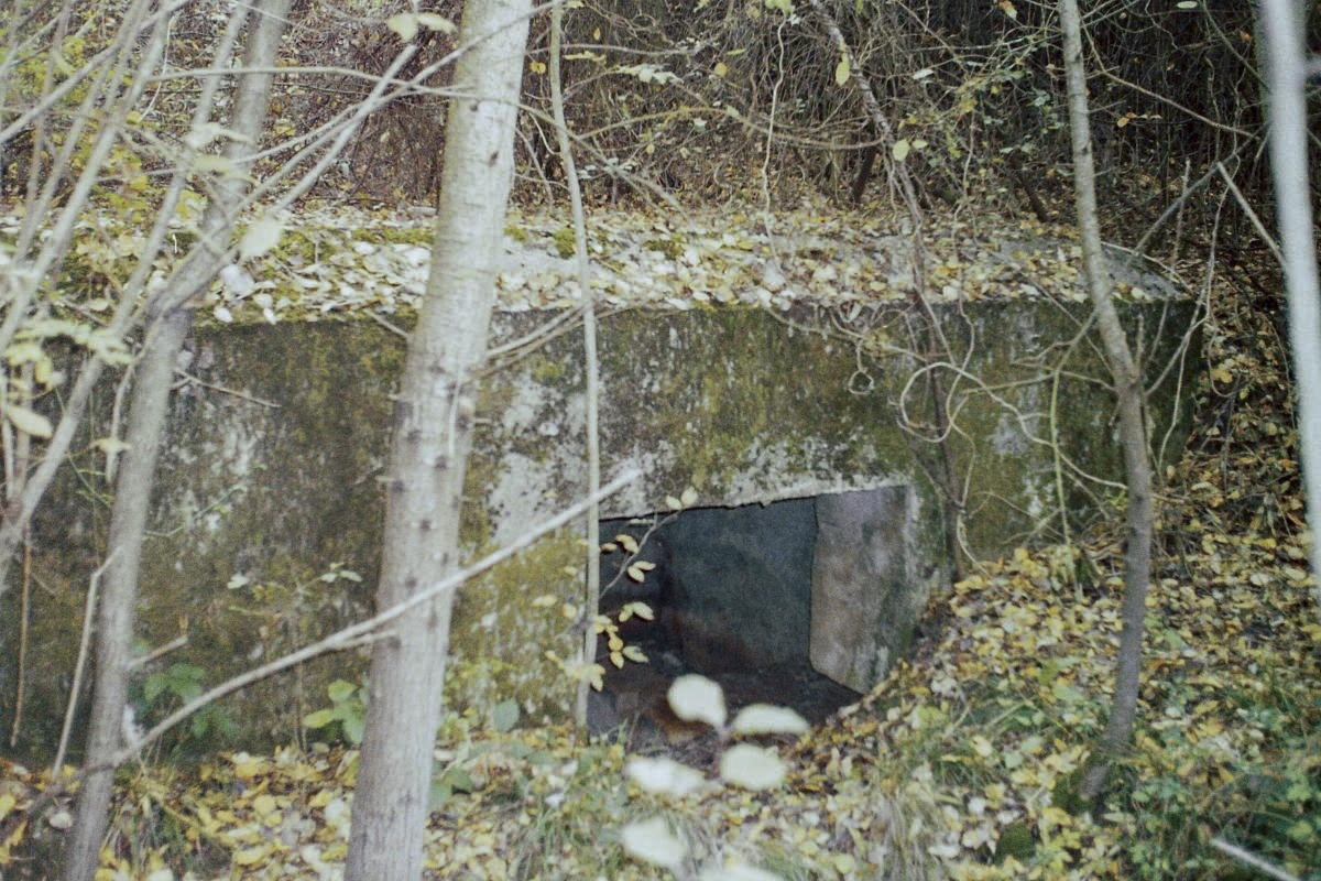 Ligne Maginot - 48BIS - BUTTE DE FRENOIS EST - (Blockhaus pour canon) - L'entrée