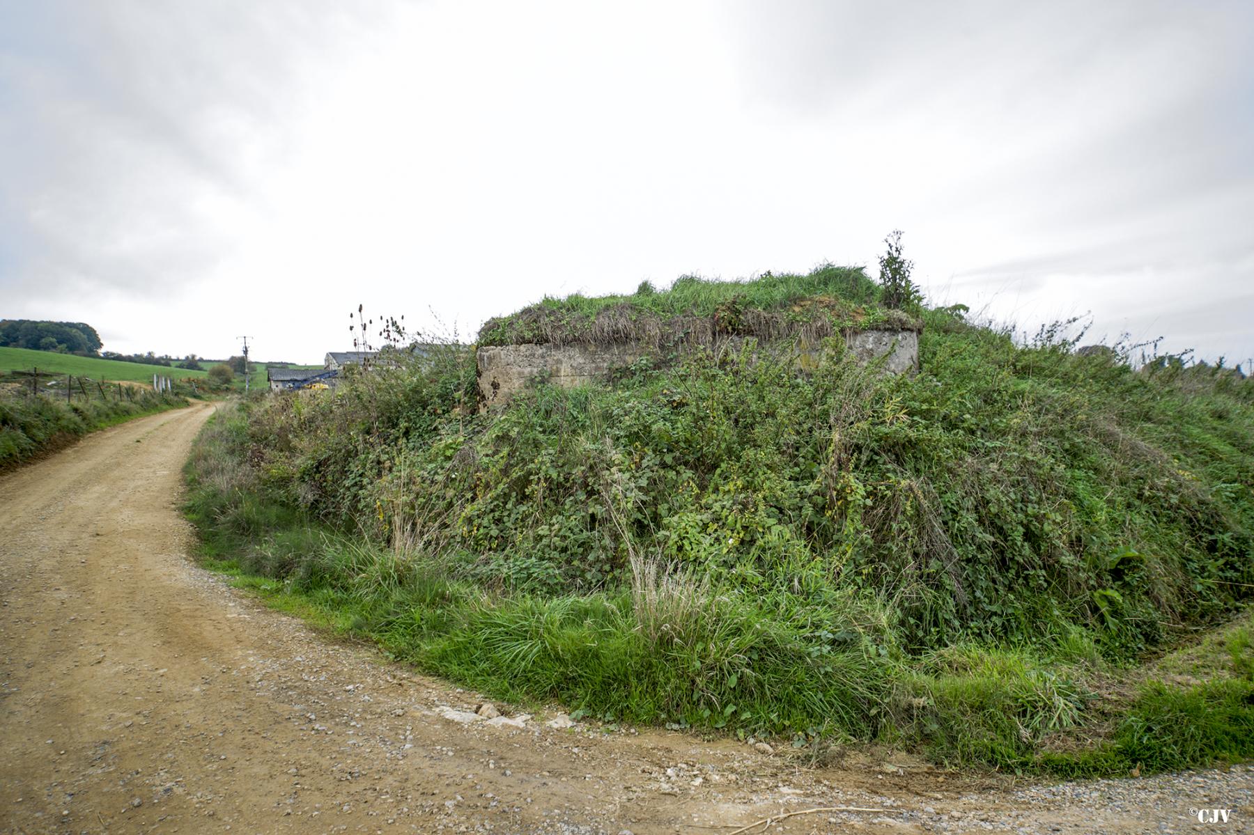 Ligne Maginot - 17 - CHEMIN DES BOSSEUSES - (Blockhaus pour arme infanterie) - 