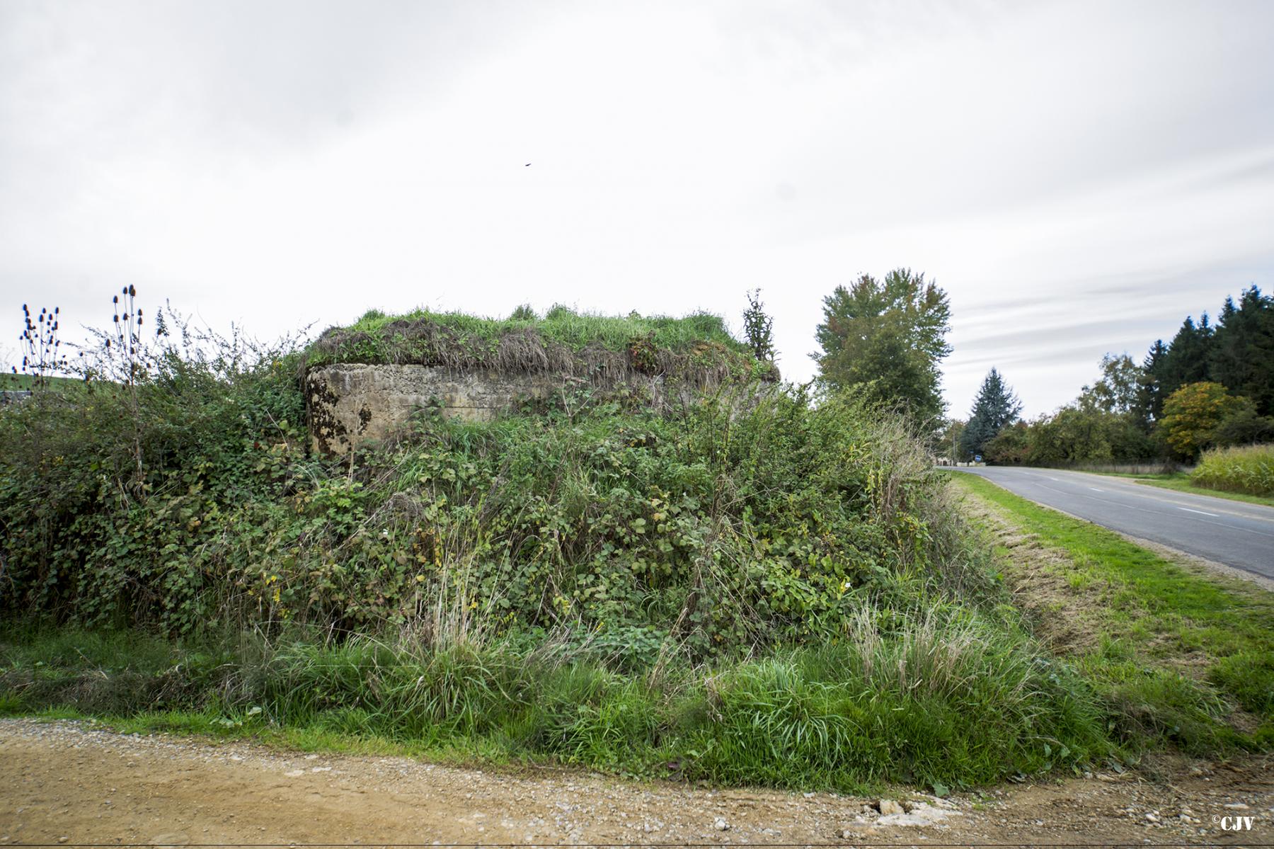 Ligne Maginot - 17 - CHEMIN DES BOSSEUSES - (Blockhaus pour arme infanterie) - 