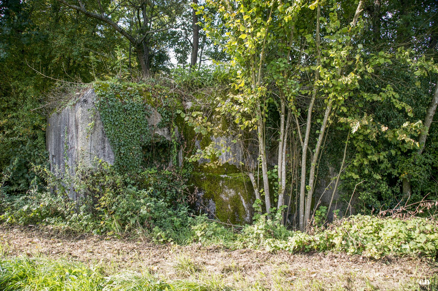 Ligne Maginot - 300 - CANAL DES ARDENNES - (Blockhaus pour arme infanterie) - 