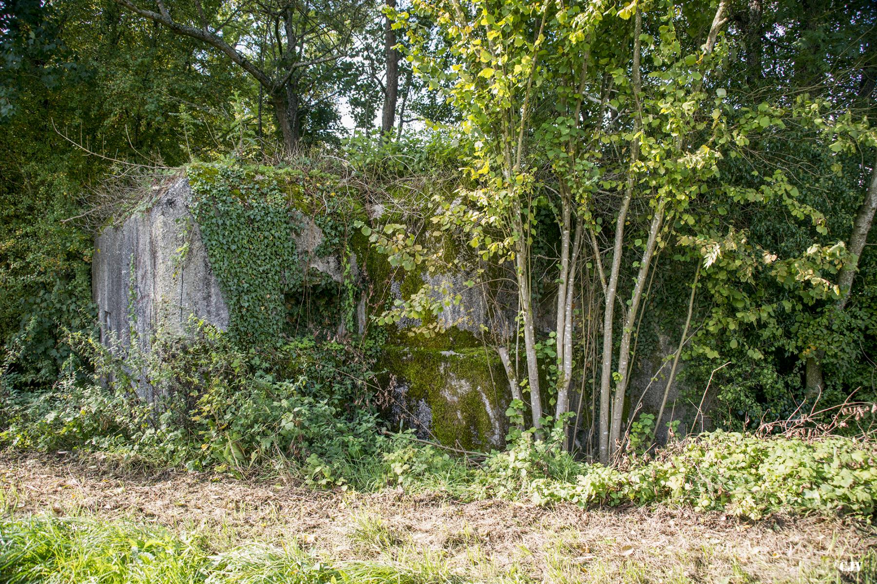 Ligne Maginot - 303 - CANAL DES ARDENNES - (Blockhaus pour arme infanterie) - 