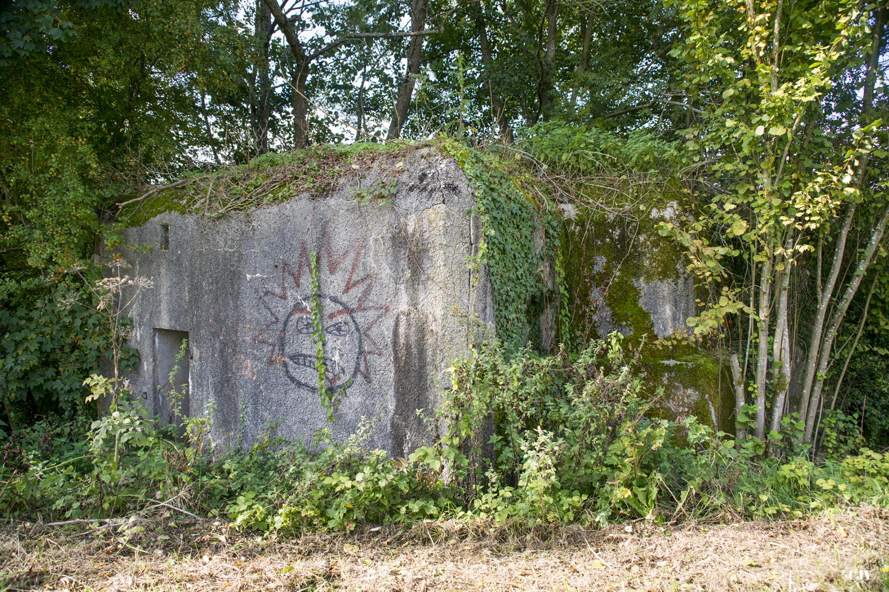 Ligne Maginot - 303 - CANAL DES ARDENNES - (Blockhaus pour arme infanterie) - 