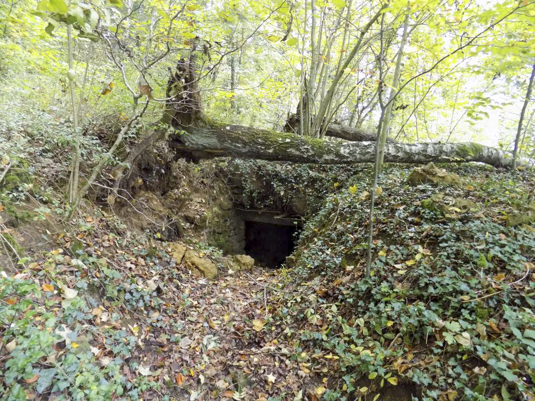 Ligne Maginot - 30A - COTE SAINT MARTIN - (Blockhaus pour canon) - Vers l'entrée