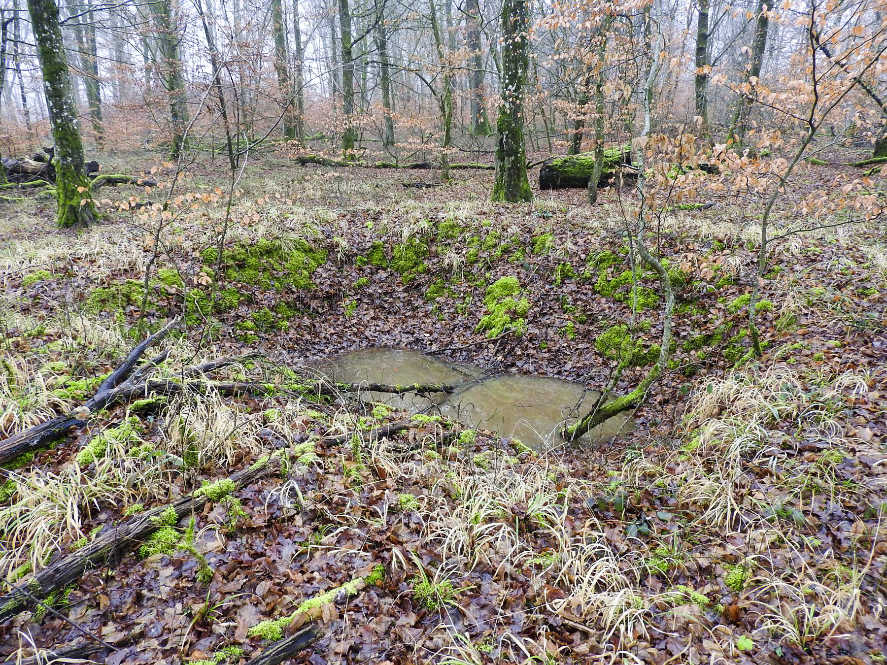 Ligne Maginot - ROHRWALD (CM3 - I/174° RMIF - SOUS-QUARTIER COTE 250) - (PC de Sous-Quartier) - L'un des emplacements de cagnas.