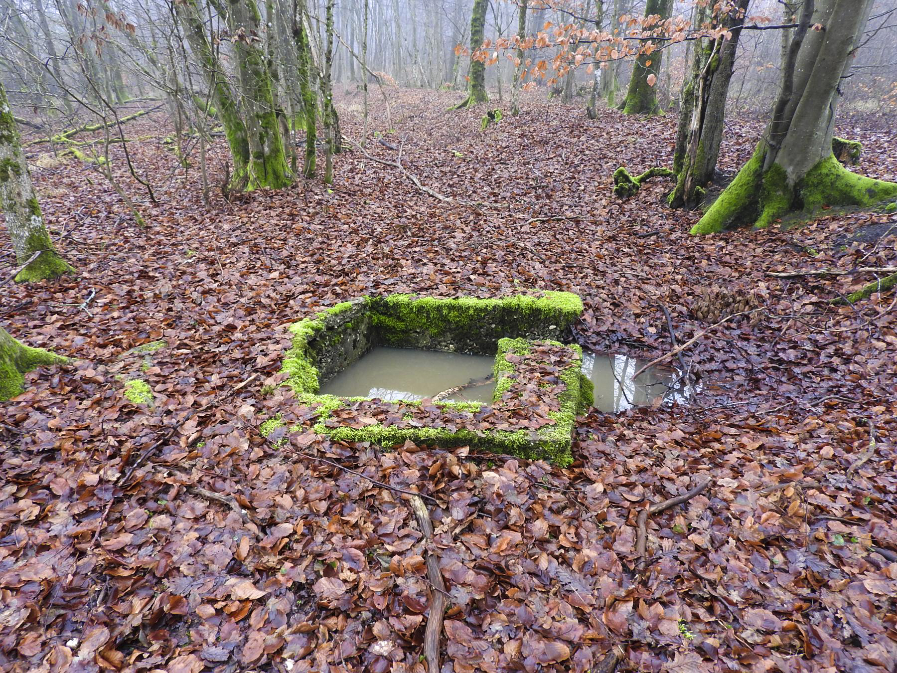 Ligne Maginot - HART OUEST 6 - (Observatoire d'infanterie) - La cuve d'observation.