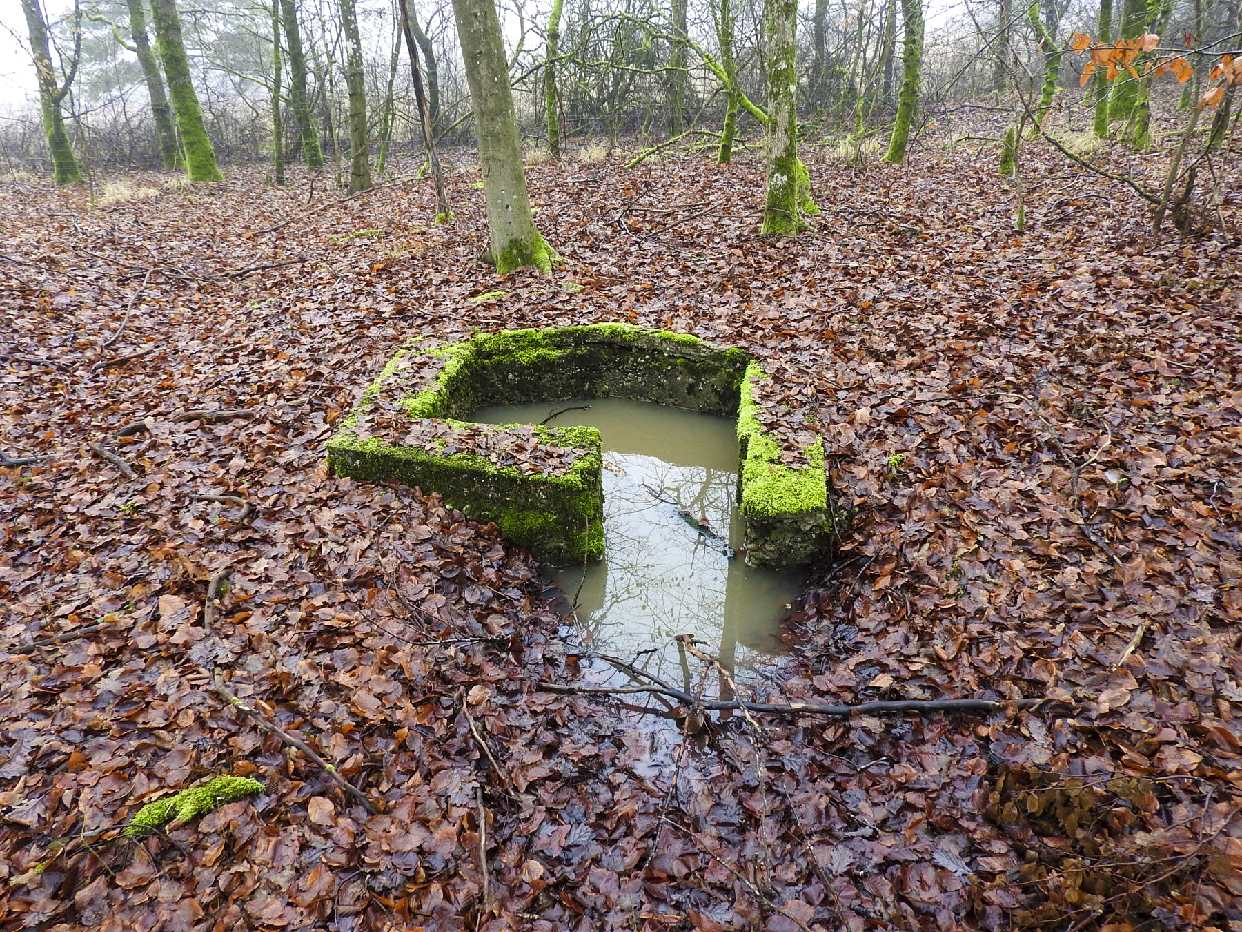 Ligne Maginot - HART OUEST 6 - (Observatoire d'infanterie) - La cuve d'observation.