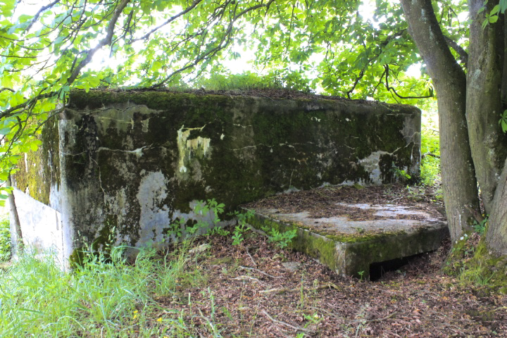 Ligne Maginot - M24B - PUTTELANGE SUD-EST - (Blockhaus pour arme infanterie) - Acces remblayé