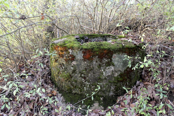 Ligne Maginot - PFAFFENBUSCH 1 - (Observatoire d'infanterie) - Guérite