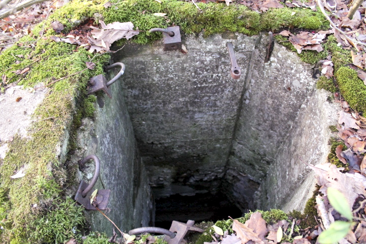 Ligne Maginot - PFAFFENBUSCH 1 - (Observatoire d'infanterie) - Guérite