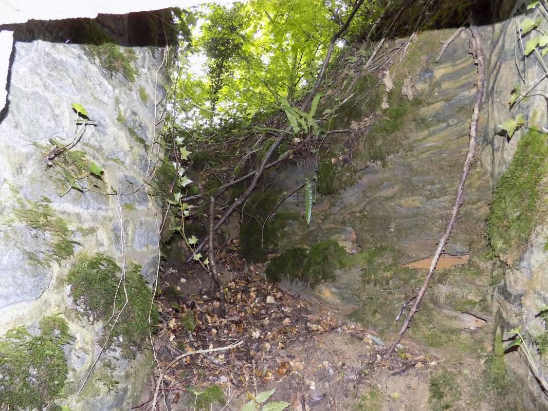 Ligne Maginot - ANGECOURT - (PC de Quartier) - Vue de l'entrée gauche