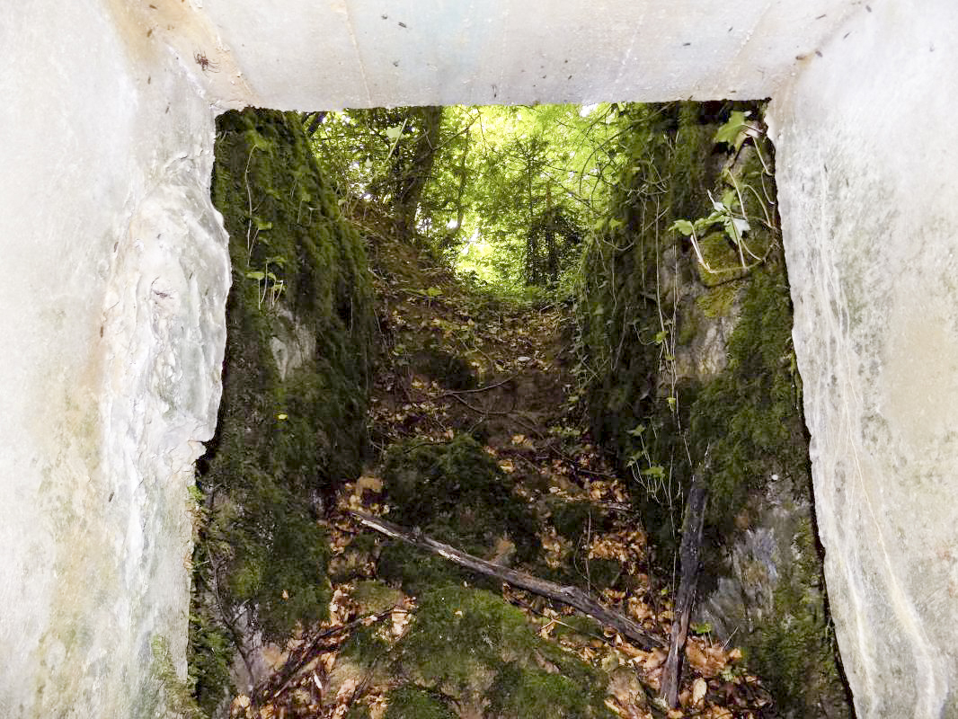 Ligne Maginot - ANGECOURT - (PC de Quartier) - Vue de l'entrée droite