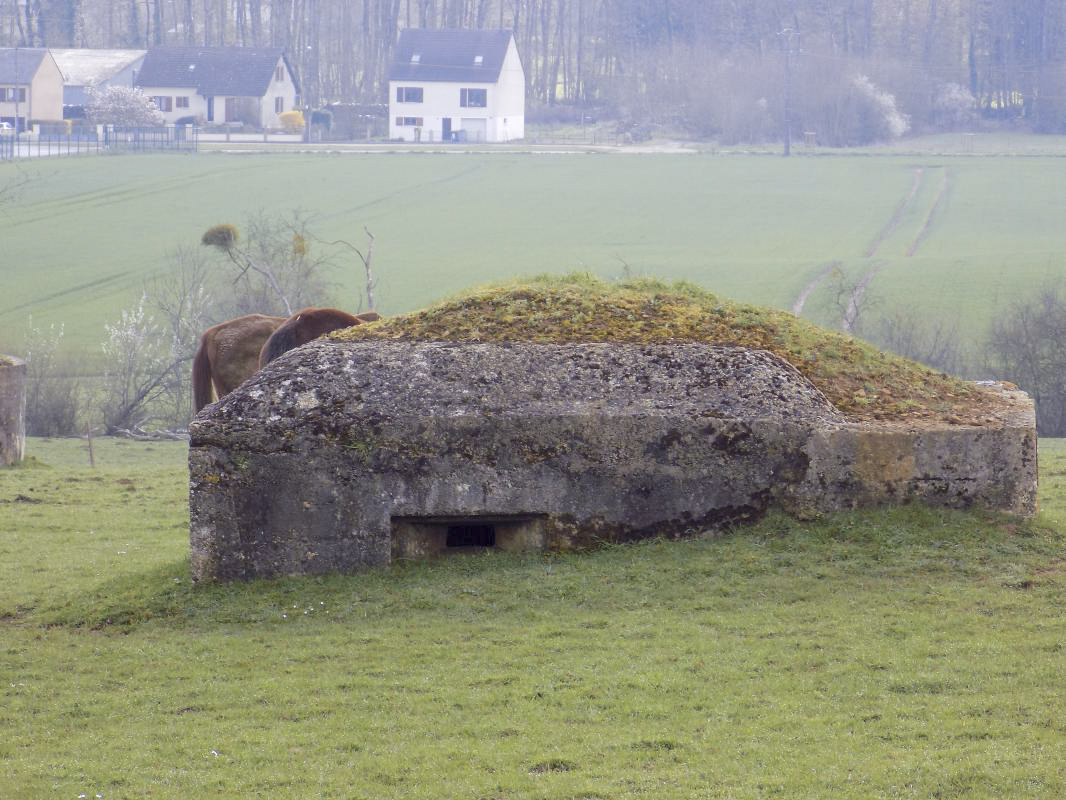 Ligne Maginot - R7 - PAMBOUR - (Blockhaus pour arme infanterie) - Face gauche