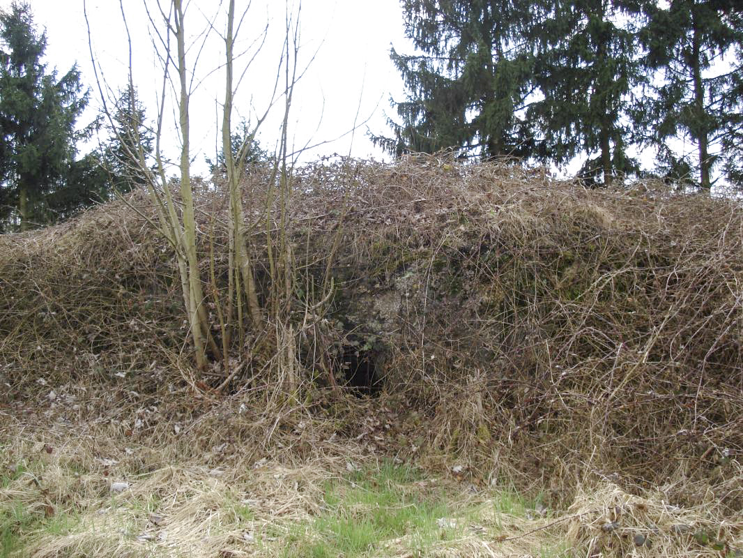 Ligne Maginot - 7BIS - EST DE FRENOIS - (Blockhaus pour canon) - Le créneau central