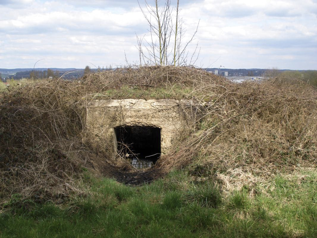 Ligne Maginot - 7BIS - EST DE FRENOIS - (Blockhaus pour canon) - L'entrée, Sedan est visible à l'arrière plan