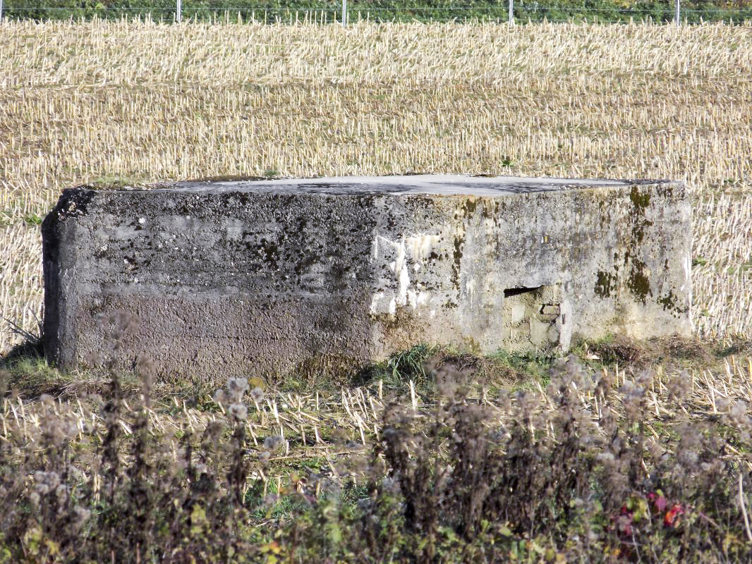 Ligne Maginot - 12 - LE PRE DE MEUSE - (Blockhaus pour arme infanterie) - 