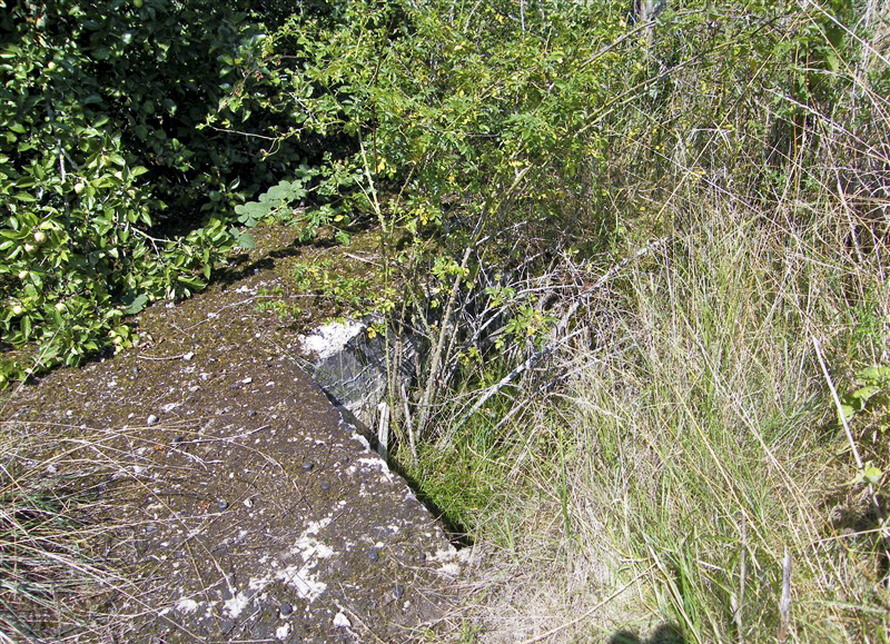 Ligne Maginot - 105 - PEPINIERE CREPLET - (Blockhaus lourd type STG / STG-FCR - Double) - Les fossés et autres réservations dans le radier