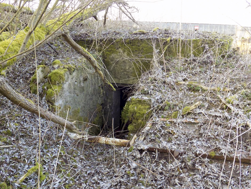 Ligne Maginot - 14 - PRE AUX PIERRES NORD - (Blockhaus pour arme infanterie) - L'entrée