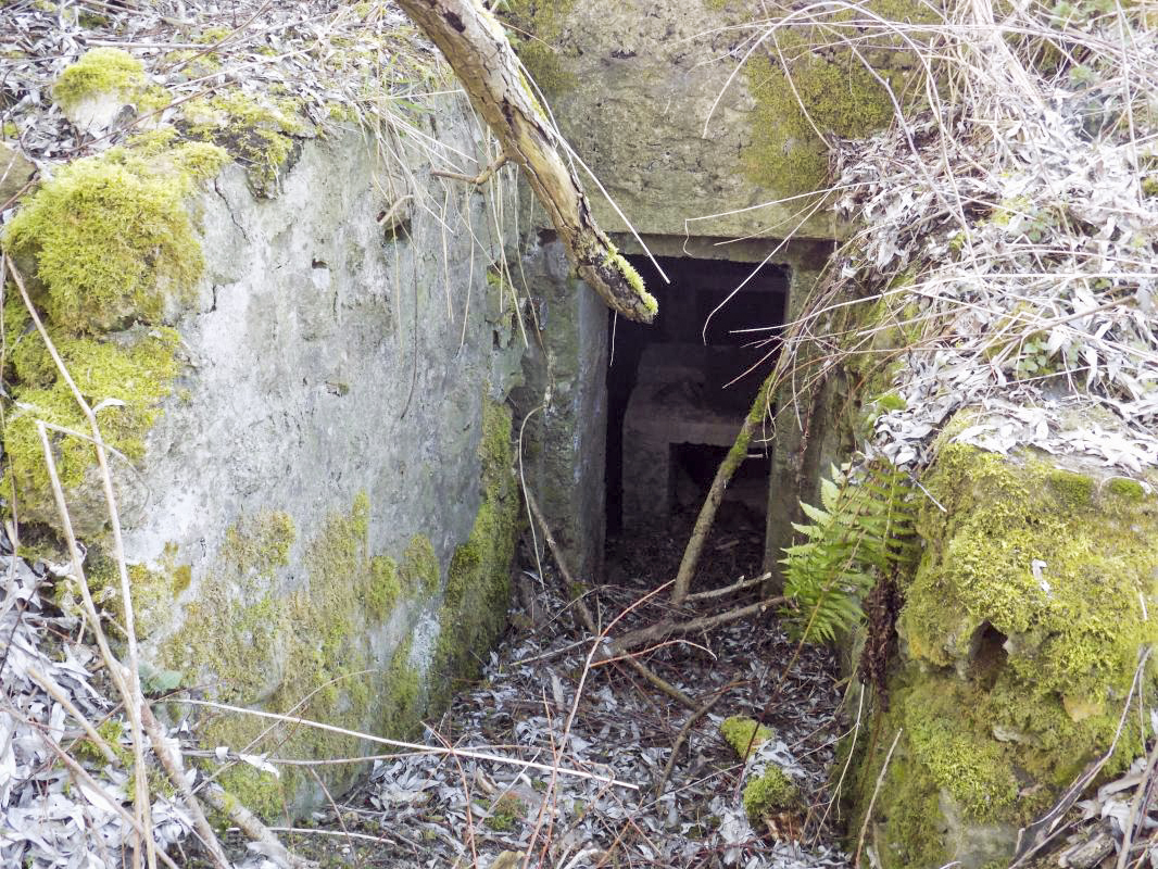 Ligne Maginot - 14 - PRE AUX PIERRES NORD - (Blockhaus pour arme infanterie) - L'entrée