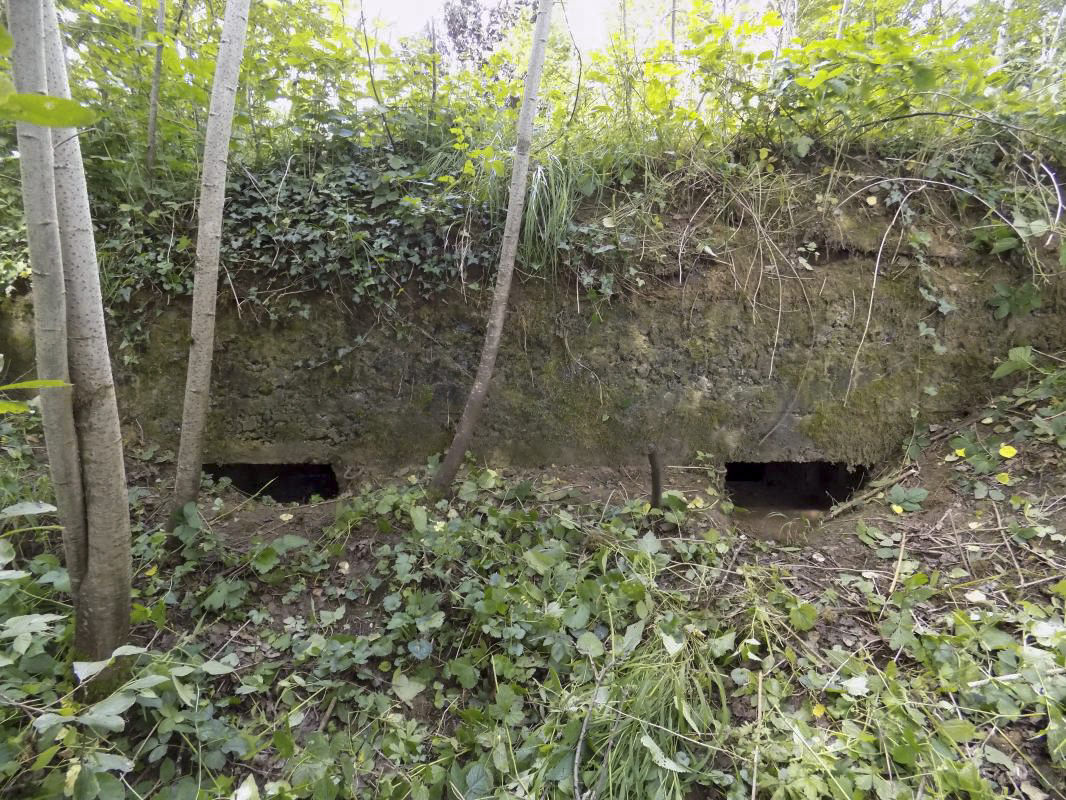 Ligne Maginot - 15 - LA COME - (Blockhaus pour arme infanterie) - Face frontale, direction de tir vers l'est