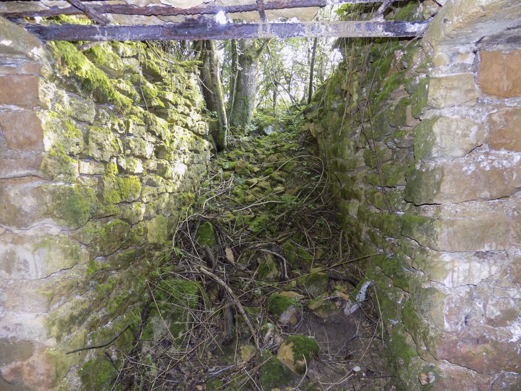 Ligne Maginot - 31A - LIPHE - (Blockhaus pour canon) - Vue vers la tranchée d'accès