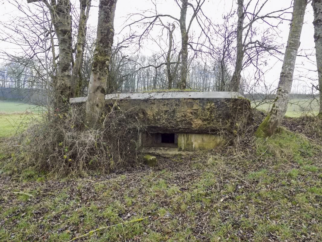 Ligne Maginot - 48TER - BUTTE DE FRENOIS OUEST - (Blockhaus pour canon) - Face frontale, créneau gauche AC