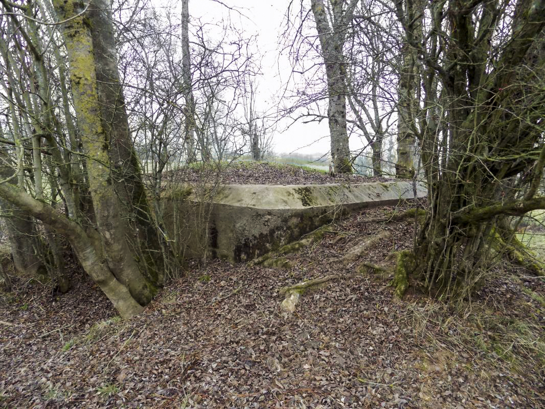 Ligne Maginot - 48TER - BUTTE DE FRENOIS OUEST - (Blockhaus pour canon) - Faces l'arrière et droite