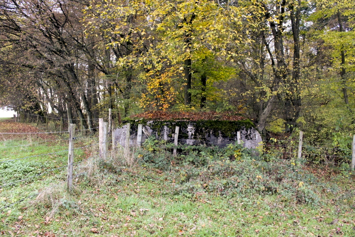 Ligne Maginot - PFAFFENBUSCH 3 - (Observatoire d'infanterie) - 