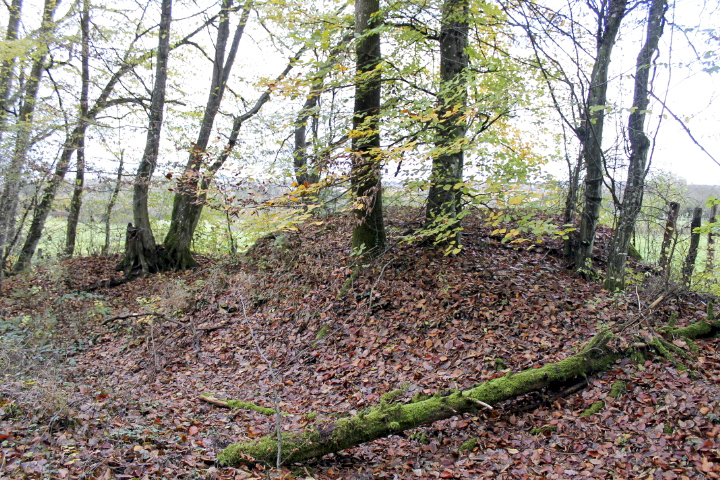 Ligne Maginot - PFAFFENBUSCH 3 - (Observatoire d'infanterie) - 