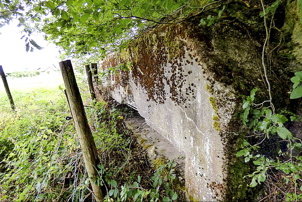 Ligne Maginot - PFAFFENBUSCH 3 - (Observatoire d'infanterie) - 