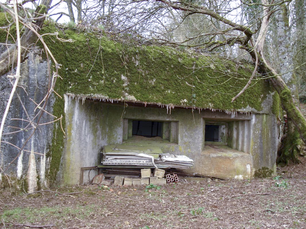 Ligne Maginot - 163 - COTE DE LA VALLIERE - (Blockhaus lourd type STG / STG-FCR - Simple) - Façade de tir