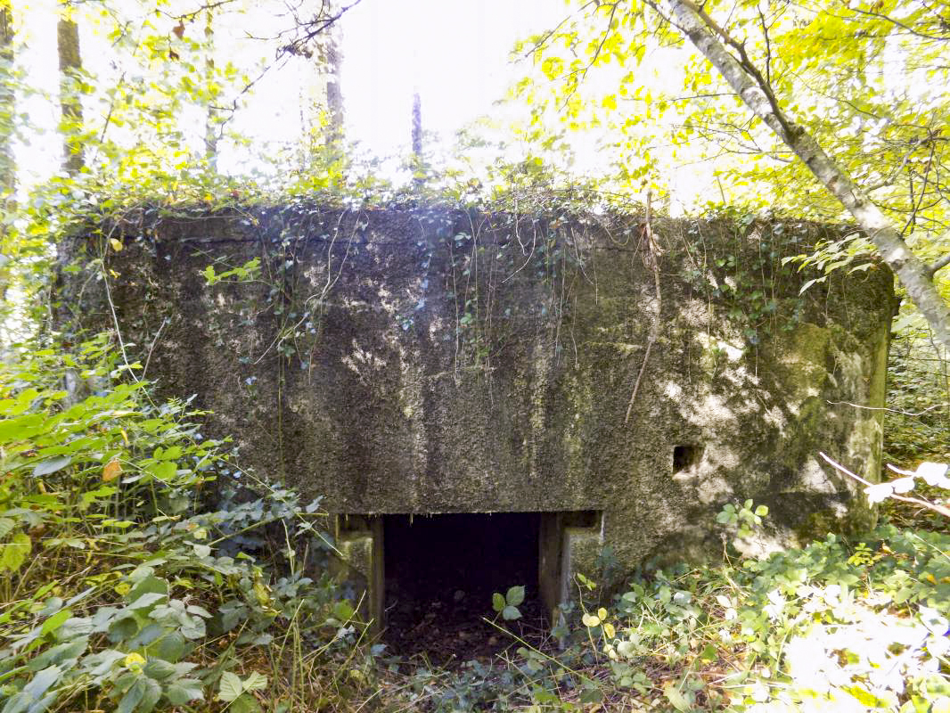 Ligne Maginot - 201 - LA NIVRAGNE OUEST - (Blockhaus pour canon) - L'arrière entrée AC