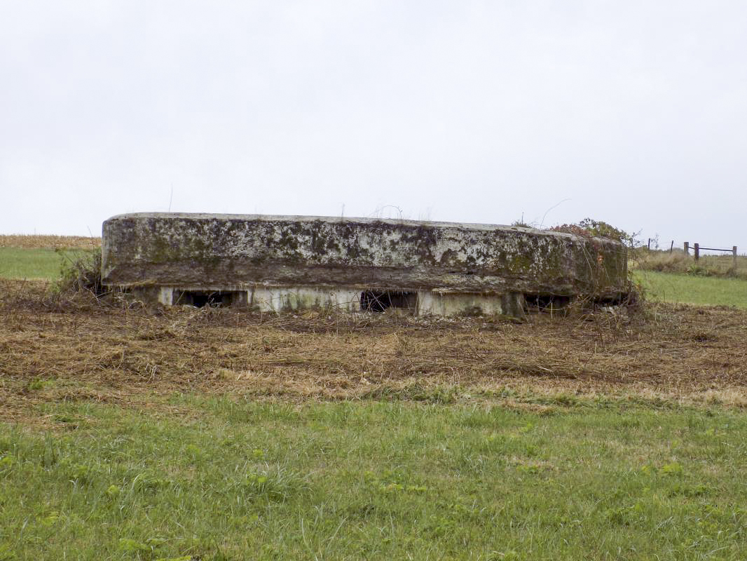 Ligne Maginot - F - LA MACHERE - (Blockhaus pour canon) - Face frontale