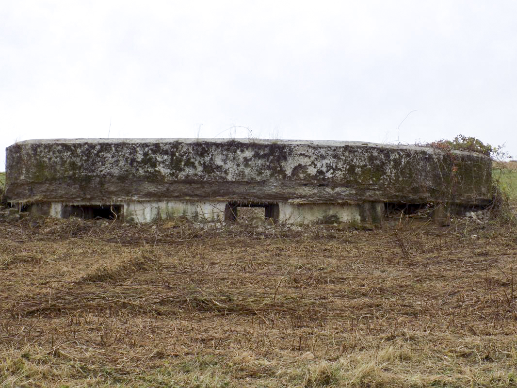 Ligne Maginot - F - LA MACHERE - (Blockhaus pour canon) - Face frontale