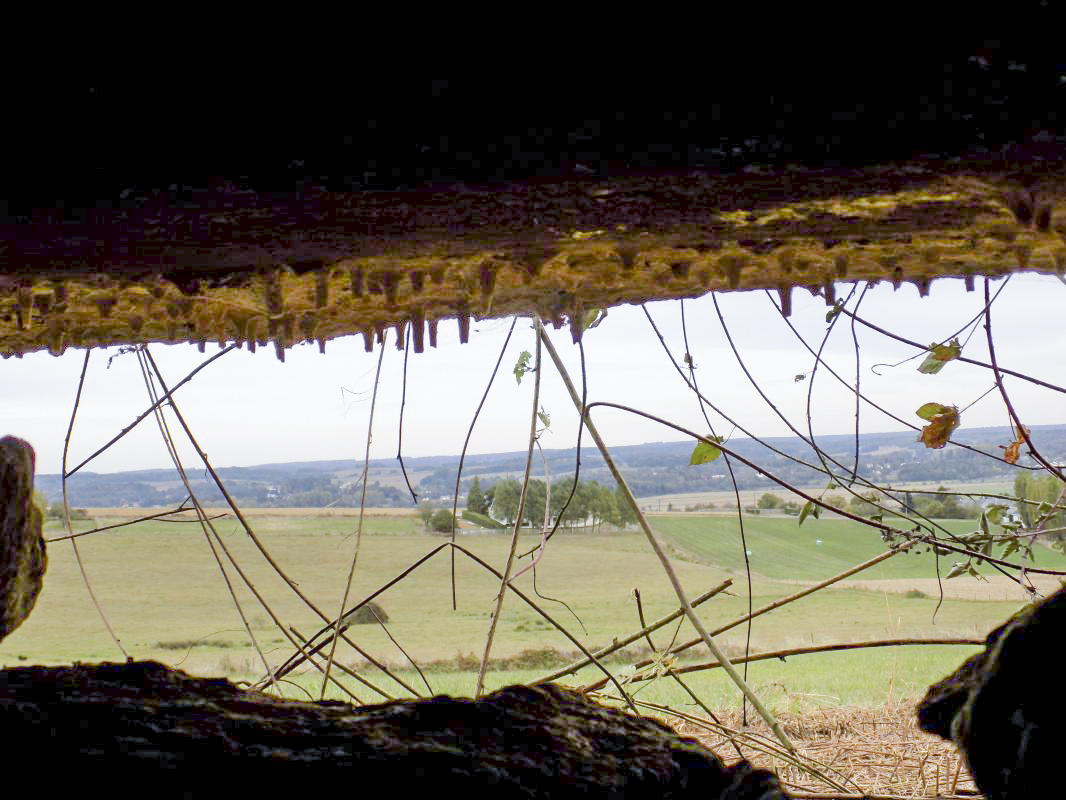 Ligne Maginot - F - LA MACHERE - (Blockhaus pour canon) - Vue créneau gauche vers le nord