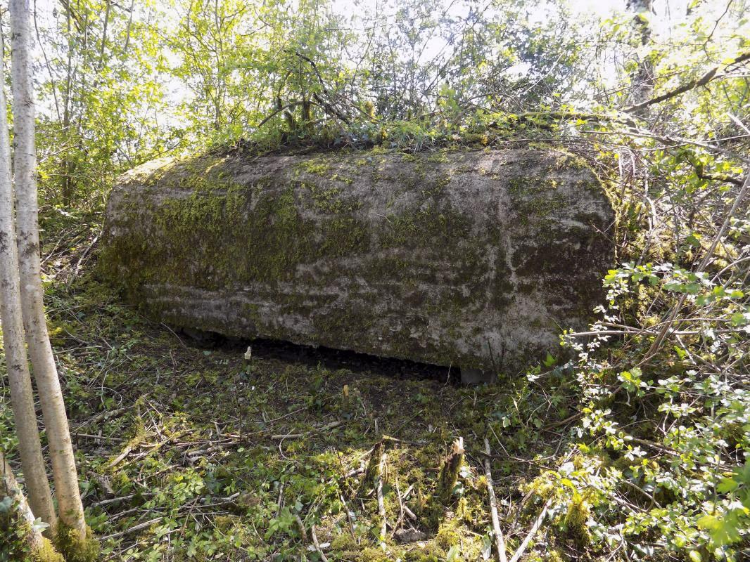 Ligne Maginot - BB305 - LA BOULETTE SUD - (Observatoire d'artillerie) - Face frontale.