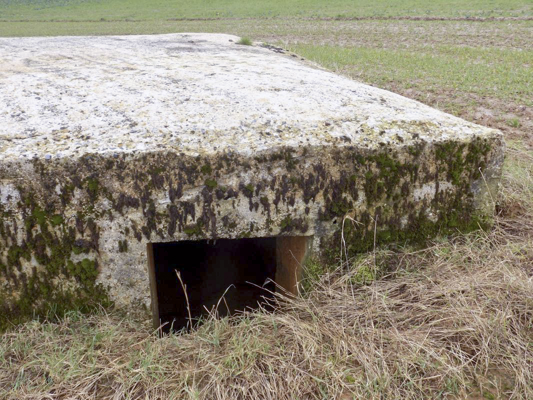 Ligne Maginot - P5 - PORTE DE GARDE - (Blockhaus pour arme infanterie) - Face gauche, l'entrée hommes