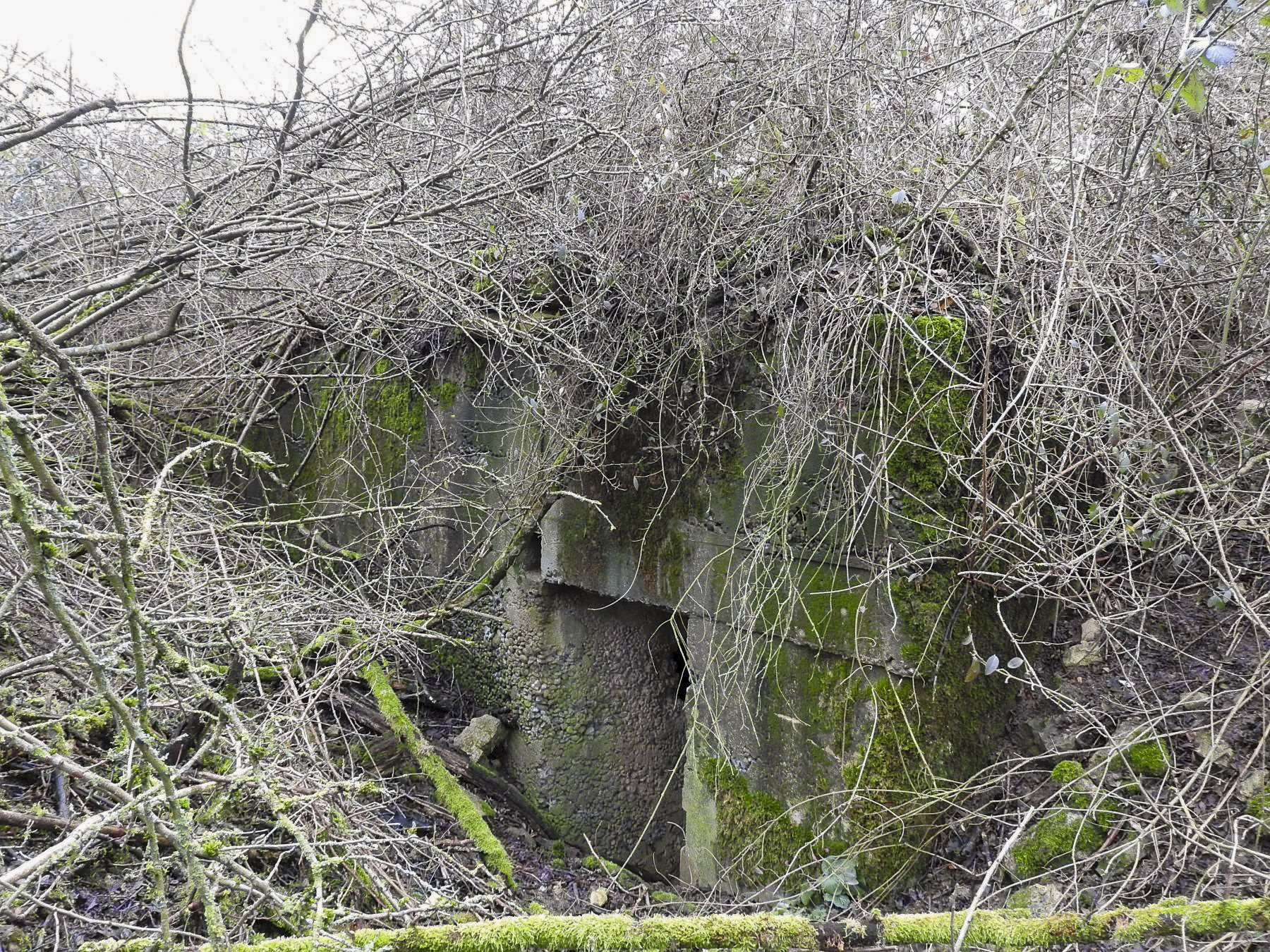 Ligne Maginot - KIBREN - (Abri) - La façade en partie cachée par la végétation.