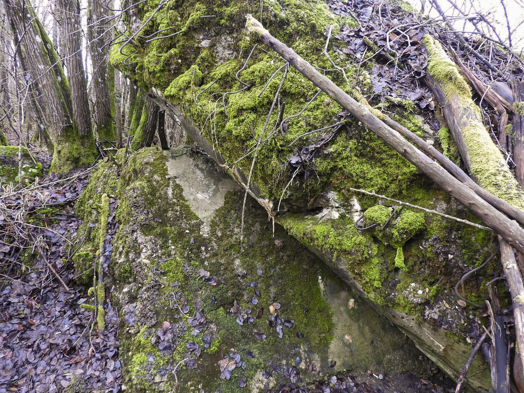 Ligne Maginot - ROHRWALD EST - (Blockhaus de type indéterminé) - Les débris du blockhaus.