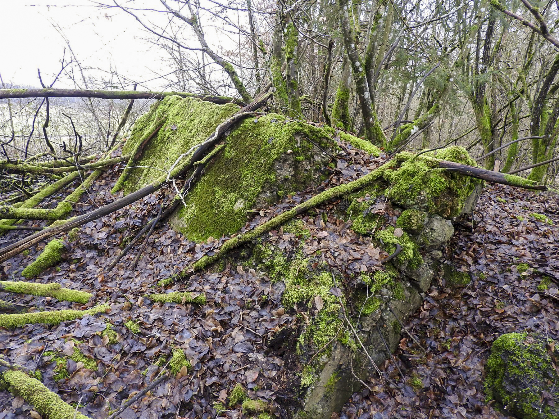 Ligne Maginot - ROHRWALD EST - (Blockhaus de type indéterminé) - Les débris du blockhaus.