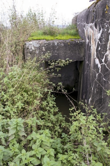 Ligne Maginot - TIERGARTEN 2 - L'entrée