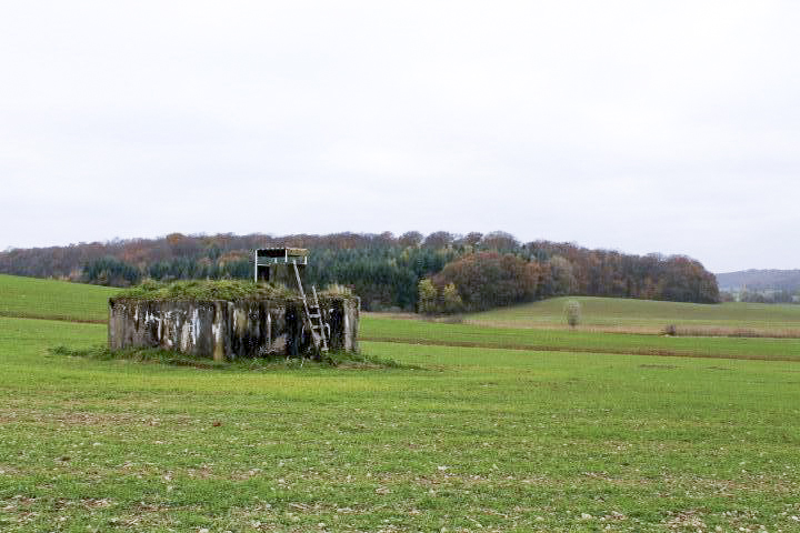 Ligne Maginot - TIERGARTEN 5 - (Blockhaus pour arme infanterie) - Vue générale