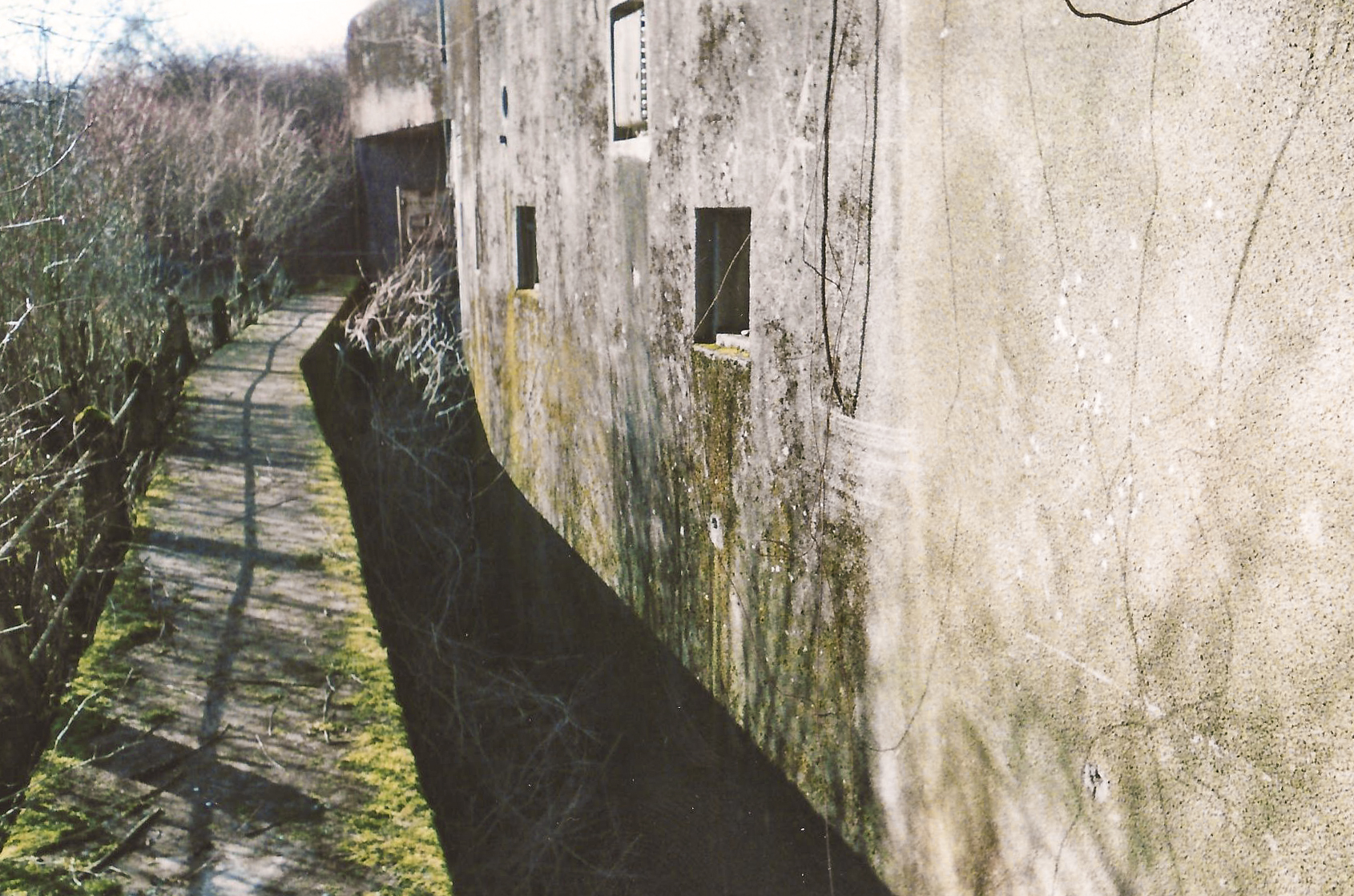 Ligne Maginot - HETTANGE GRANDE - X8 (QUARTIER ROUSSY - III/168°RIF) - (Abri) - Vue de la façade de l'abri et du fossé diamant