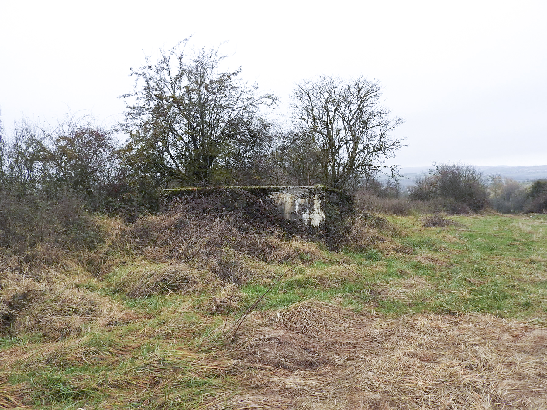 Ligne Maginot - KLINGELBRUNNEN EST - (Blockhaus pour arme infanterie) - Le blockhaus anti-char.