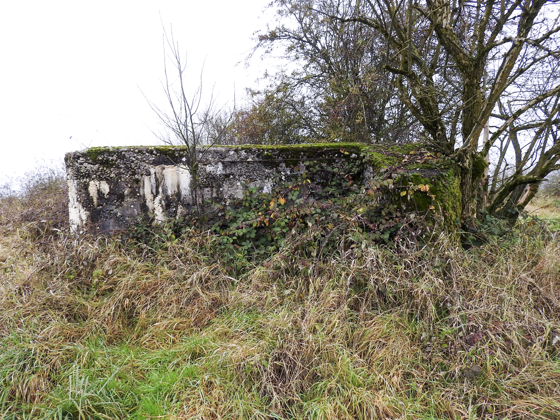 Ligne Maginot - KLINGELBRUNNEN EST - (Blockhaus pour arme infanterie) - La façade de tir.