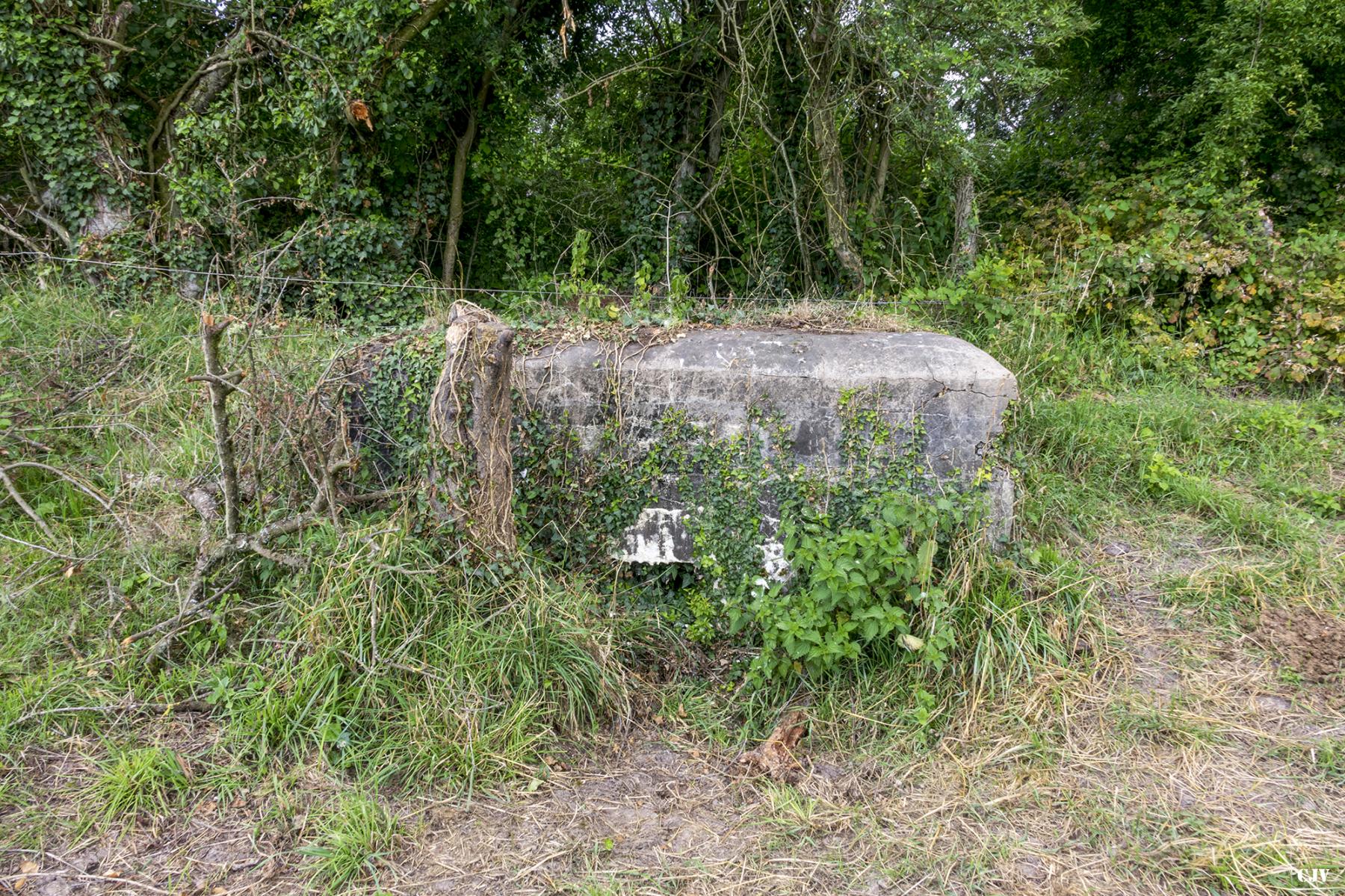 Ligne Maginot - M41 - (Blockhaus de type indeterminé) - 