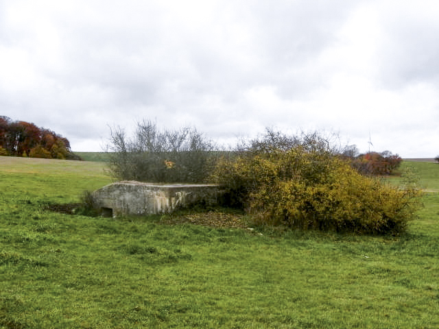 Ligne Maginot - MAYERSBUSCH - (Blockhaus pour arme infanterie) - 