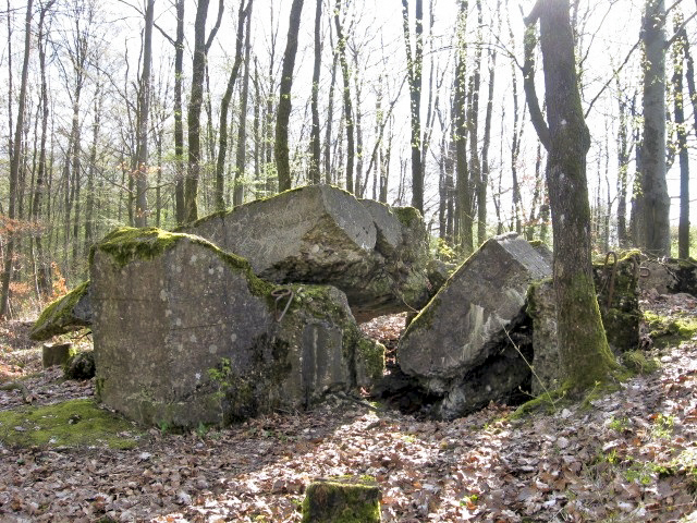 Ligne Maginot - MEISTERBUSCH SUD - (Blockhaus pour arme infanterie) - 