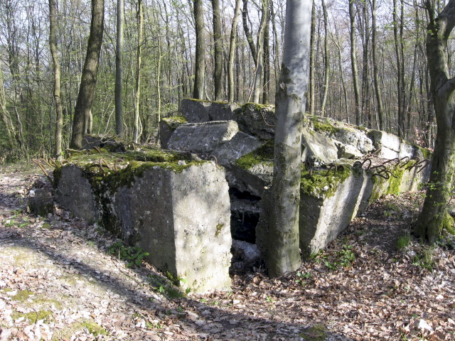 Ligne Maginot - MEISTERBUSCH SUD - (Blockhaus pour arme infanterie) - L'entrée